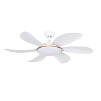Quạt trần đèn 6 cánh Daikisu DC50B19