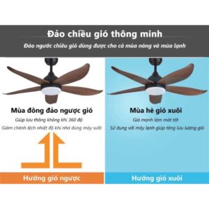 Mo ta DCT 117 mau nau dao chieu