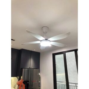 Mo ta DCT 117 mau trang den LED