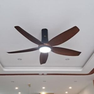 Mo ta DCT Fan 301 nau