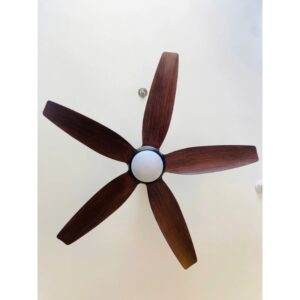 Mo ta DCT Fan 301 nau canh quat