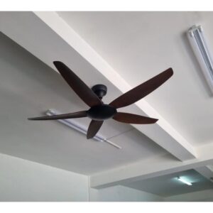 Mo ta DCT fan 168 mau nau dam